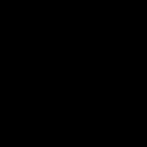 Meet your Posher, Shadow - Picture 1 of 1